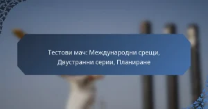 Тестови мач: Международни срещи, Двустранни серии, Планиране