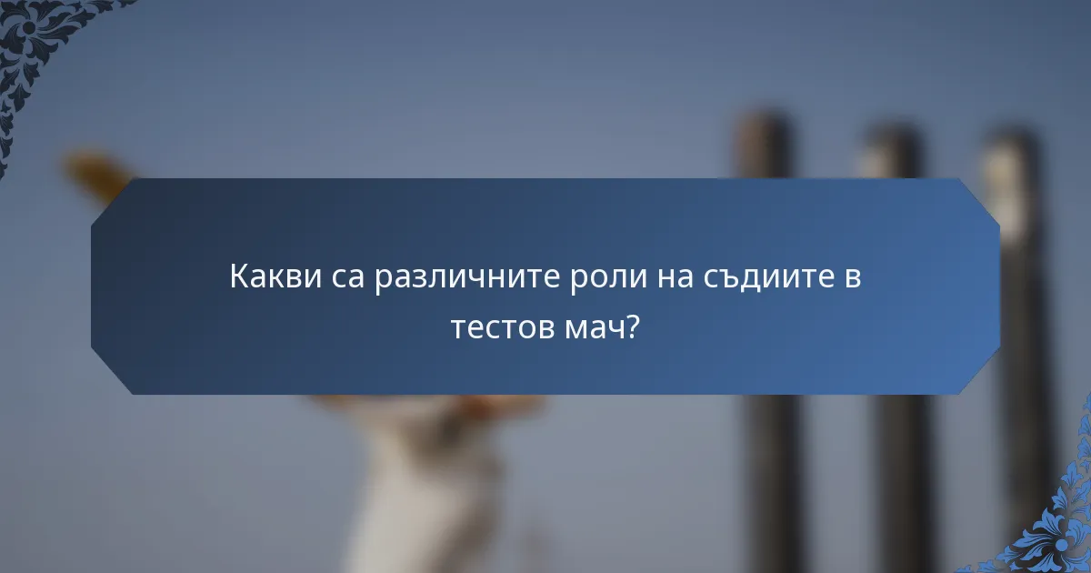 Какви са различните роли на съдиите в тестов мач?